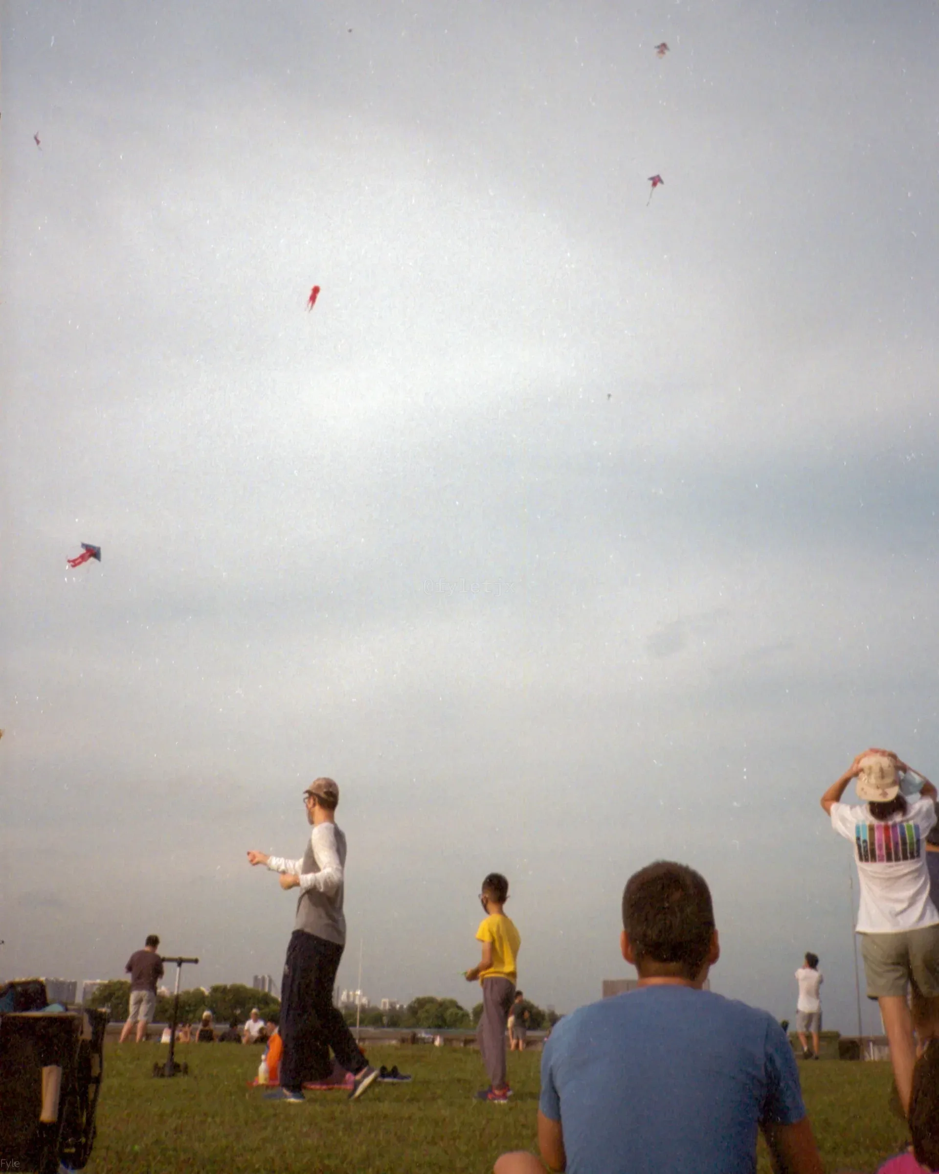 Photo 31