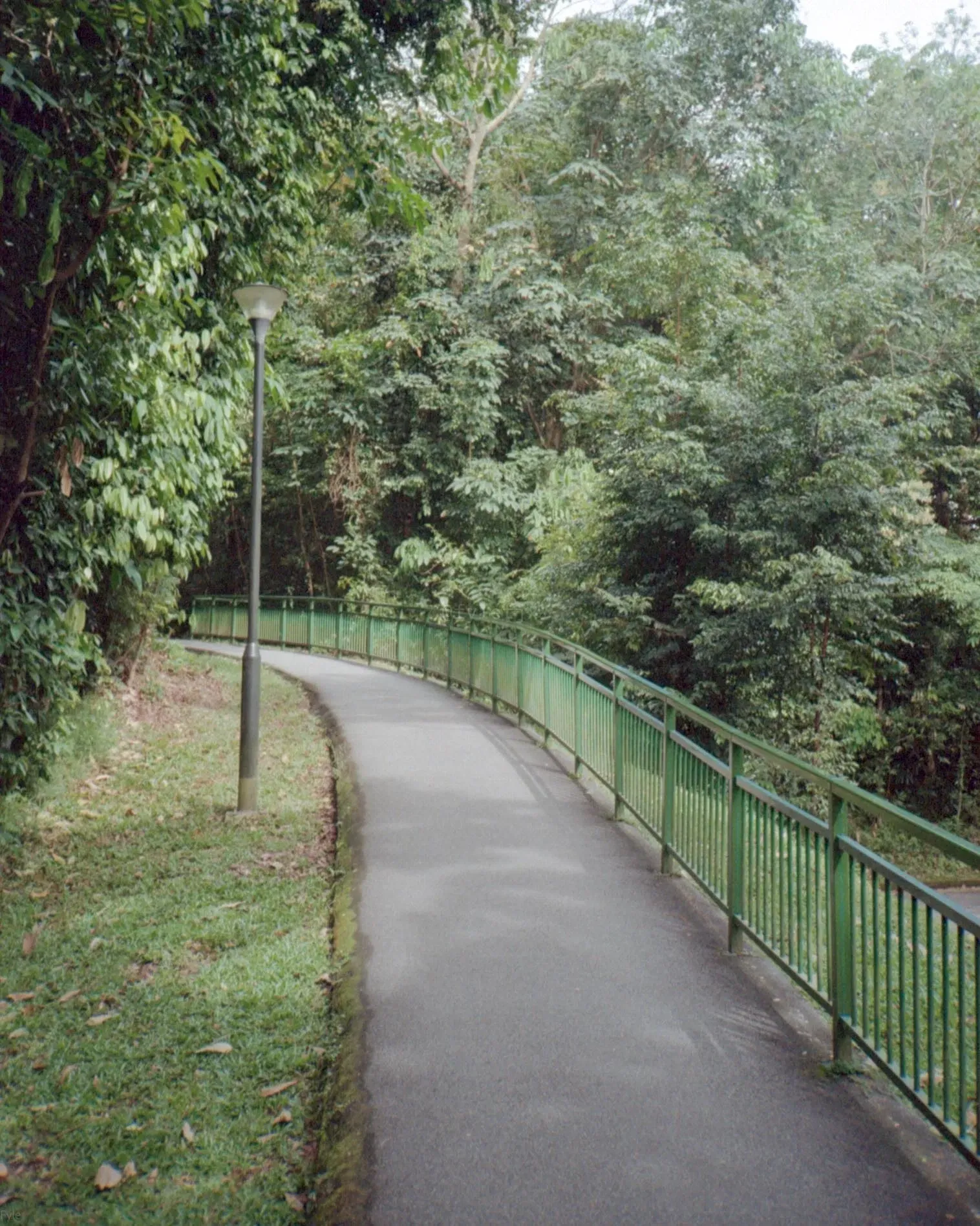 Photo 41