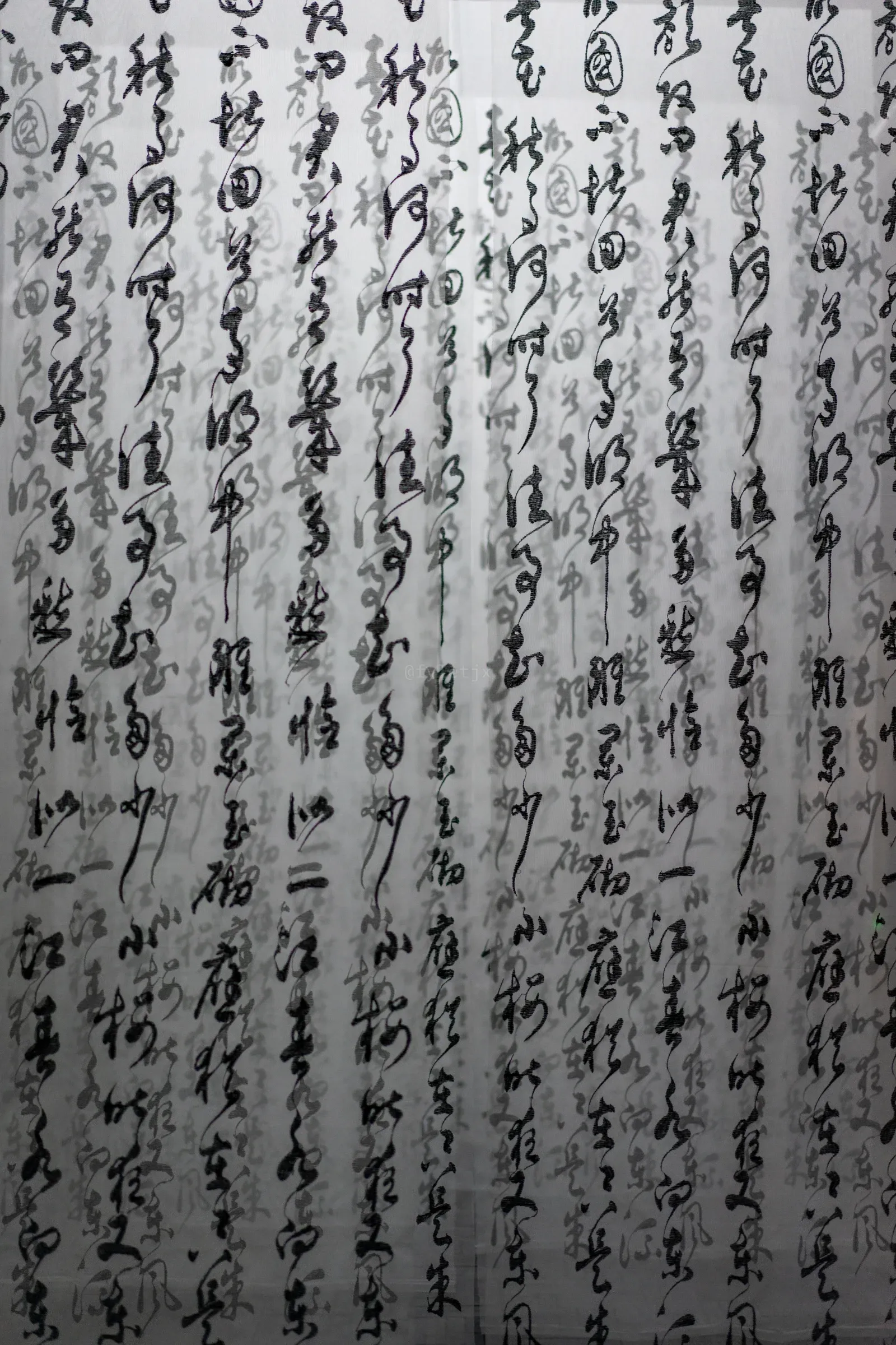 Photo 62